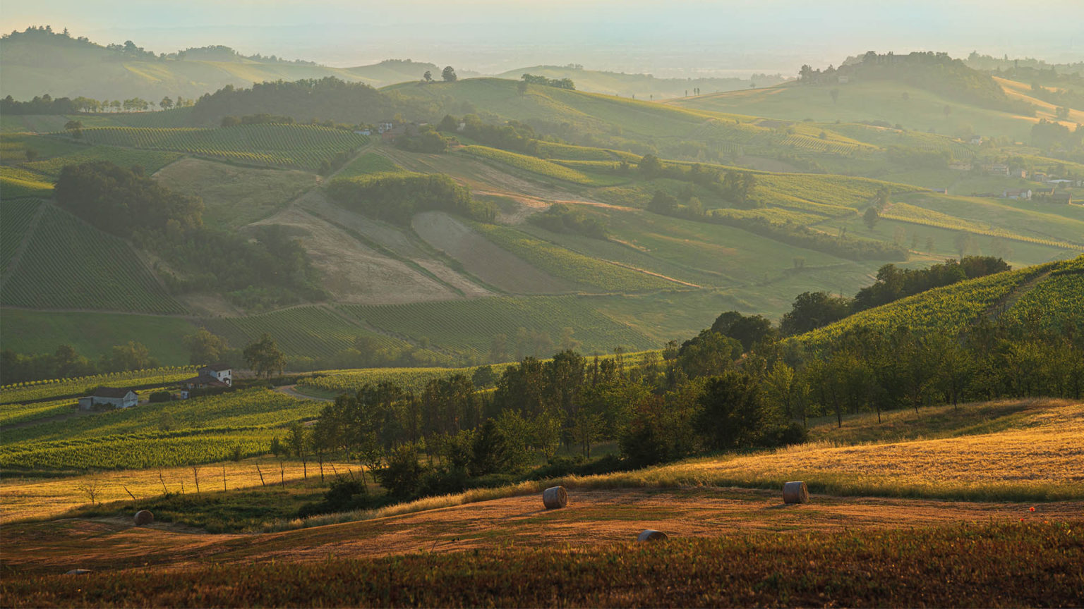 FSVGDA investe in Colline e Oltre, utilizzando un innovativo “SFP a ...